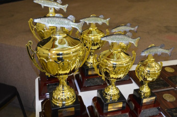 66E9234E-3135-4AEB-BA5D-A8021FDAAE84