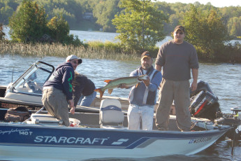 675F3520-FA6A-4E40-B861-A454361012C9