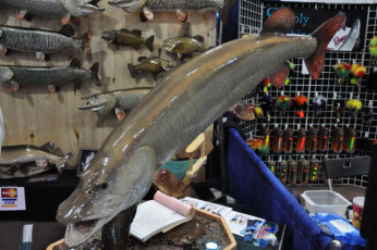 6775B4D5-6051-44D4-B29A-74AB01AD533B