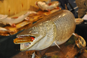 67FE5AA2-2B01-470D-99FD-5117EC4AF4EF