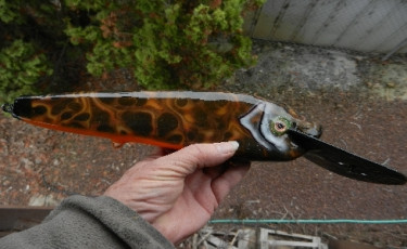 681BC520-8721-411C-9040-ACBBAE7E2392