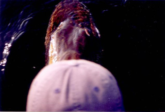 683db9c6-06f7-48ee-bc52-c759c8983baa