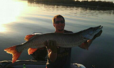 68CBC1CE-CAE5-46EA-8080-3CB64371EB23