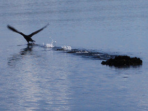 691DBE0F-BB63-4FAB-BB71-1A9DD1369969