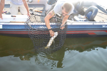 692C020B-5D02-4667-8CD6-25B6A355E6C5