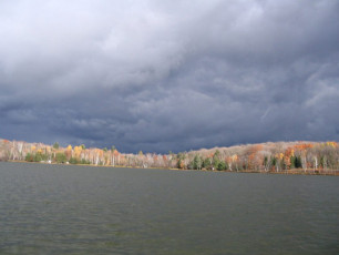 6989a8b8-423a-4dad-98da-50d357b7b69b