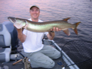 69E1B779-67B0-402E-9283-19F717ECC31F