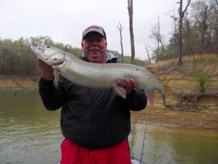 69F3D127-10B3-4FC4-AD55-1C86CA7214F7