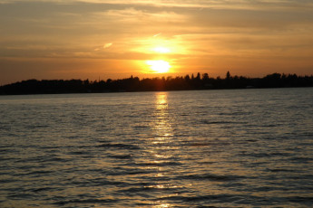 69a77483-321e-4b69-a6bd-c5ba5127168f