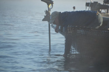 6A8E7C6A-FD46-4687-A14D-E99B68197B2F