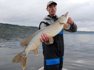 6B932471-9435-4DA3-A077-D56EB5D41307