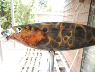 6BF75757-7FEB-4E71-BC6B-D1955E687341