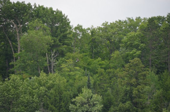 6BFD7947-E632-42EA-B7AC-C5F9E39769F9