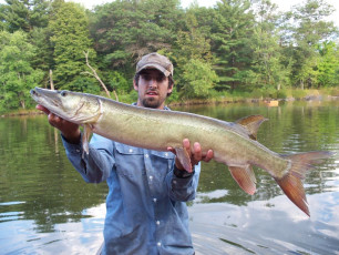 6C463267-DB33-49DC-A2AE-00EDBF11E07E