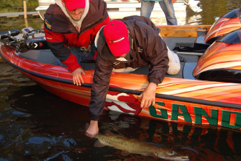 6C755E68-70F2-4EDB-9CE0-2B702CFE0A12