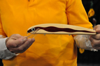 6CC26BF9-D281-40DB-9994-7CB587731DF9