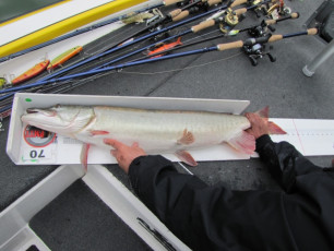 6CE33CF9-6195-45B8-9E2B-2F581D1DF2A6