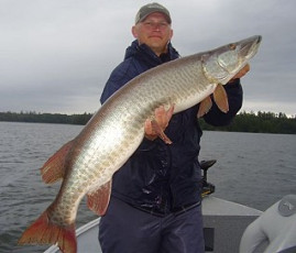 6D0E3047-F701-4B3F-BB54-DEFDC8417F26