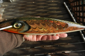 6D2CFD69-FD52-4FCB-BAD2-97B0DA91CD73