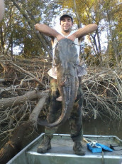 6D48355D-D705-4702-9E3D-9E065A841BD9