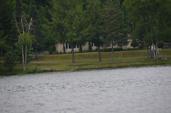 6D6067AD-A5A7-488E-AA90-A36F6C9C0520