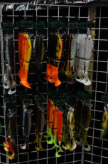 6D6F0907-3980-450B-8DD7-7E19B6A74B8B