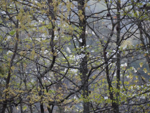 6DD8AE8D-04D3-4698-BF29-F87F0B9D4589