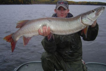 6E1115CB-3C56-4EAA-82B8-5AA0EE2080C0