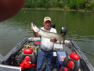 6E94CA91-FD31-4161-B136-C9191B66B5D5