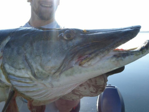 6EA71190-DD7E-4A55-90E2-EAC55F9CF9F7