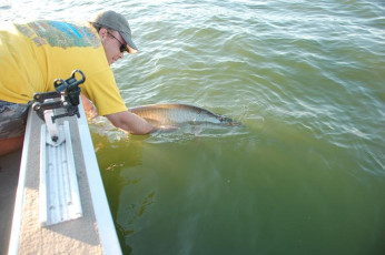 6EBF9FDC-3C96-48BA-9493-4E04BC358CB1