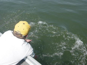 6EDDCE9C-5DD1-4AF3-BD05-8296C3FDB8AB