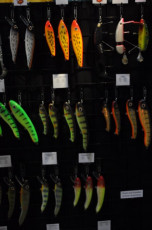 6FEE854E-2B38-4C50-8570-705657E242F0