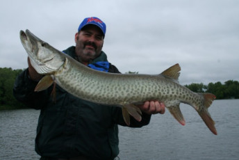 6FF2668A-3B0B-4F81-9B93-5E4042AA2F98