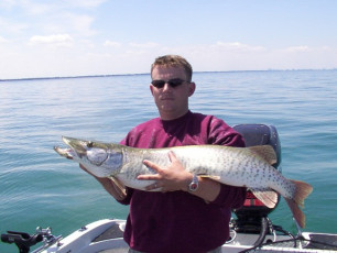 6b4762a6-0d3e-4aa5-a336-f41556afb302