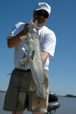 6bec1615-4953-4bb4-be7a-3fb187c287be