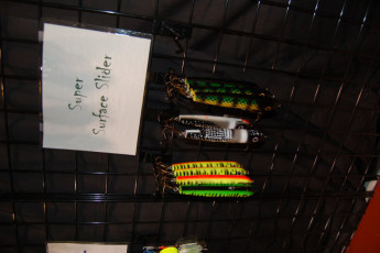 6ccbbe09-4dbf-4678-8dd4-7af68490c101