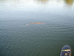 6cd8ff1b-34da-45e9-872a-37dac2e8d09a