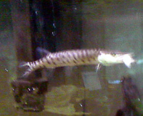 6e144994-9fa1-4ee5-b032-430738af89c1