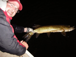 6e3b11d7-198b-4f60-ad3a-6e83dbae9ee1