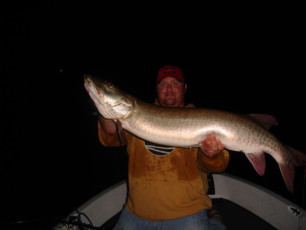 6e6b6400-2a7d-42b0-b5f8-9d38606d5a64