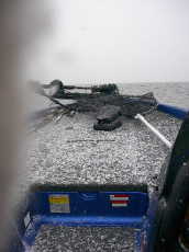 6e8401d5-df9f-4c84-93c1-b0233db28a57