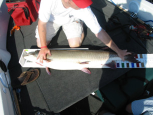 6e978a7d-6f4f-492f-9536-b7cdb83d09d9