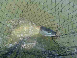 6ee3beb8-a5a1-406a-a90c-0732c95277fc