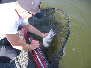 6fbdf323-cf0b-4660-9635-f0d1c26506f4