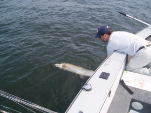 6fef0365-95f3-4830-9db6-9107ce6968d6