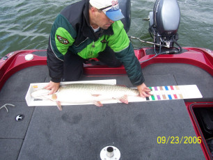 702889d9-0527-4152-ba01-73a3beb3ce9b