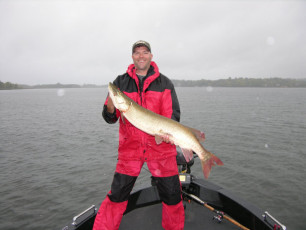 706bcd55-3fd7-4a11-8175-9c56fcdd4c14