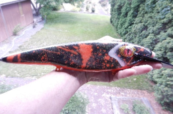 70D9930B-E277-40D2-B507-B02BEE1BE979