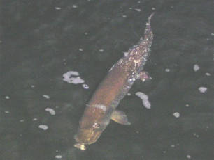 70a547f7-0a17-4564-a8e4-3f1d0d9eac16